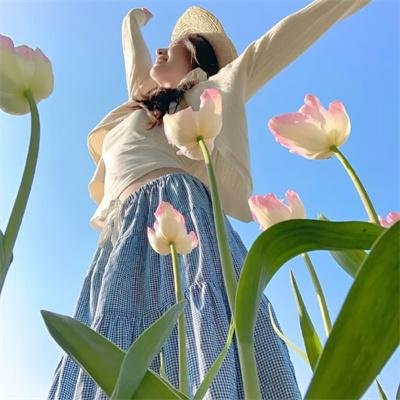 卡特高中