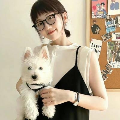 教室里的一头牦牛